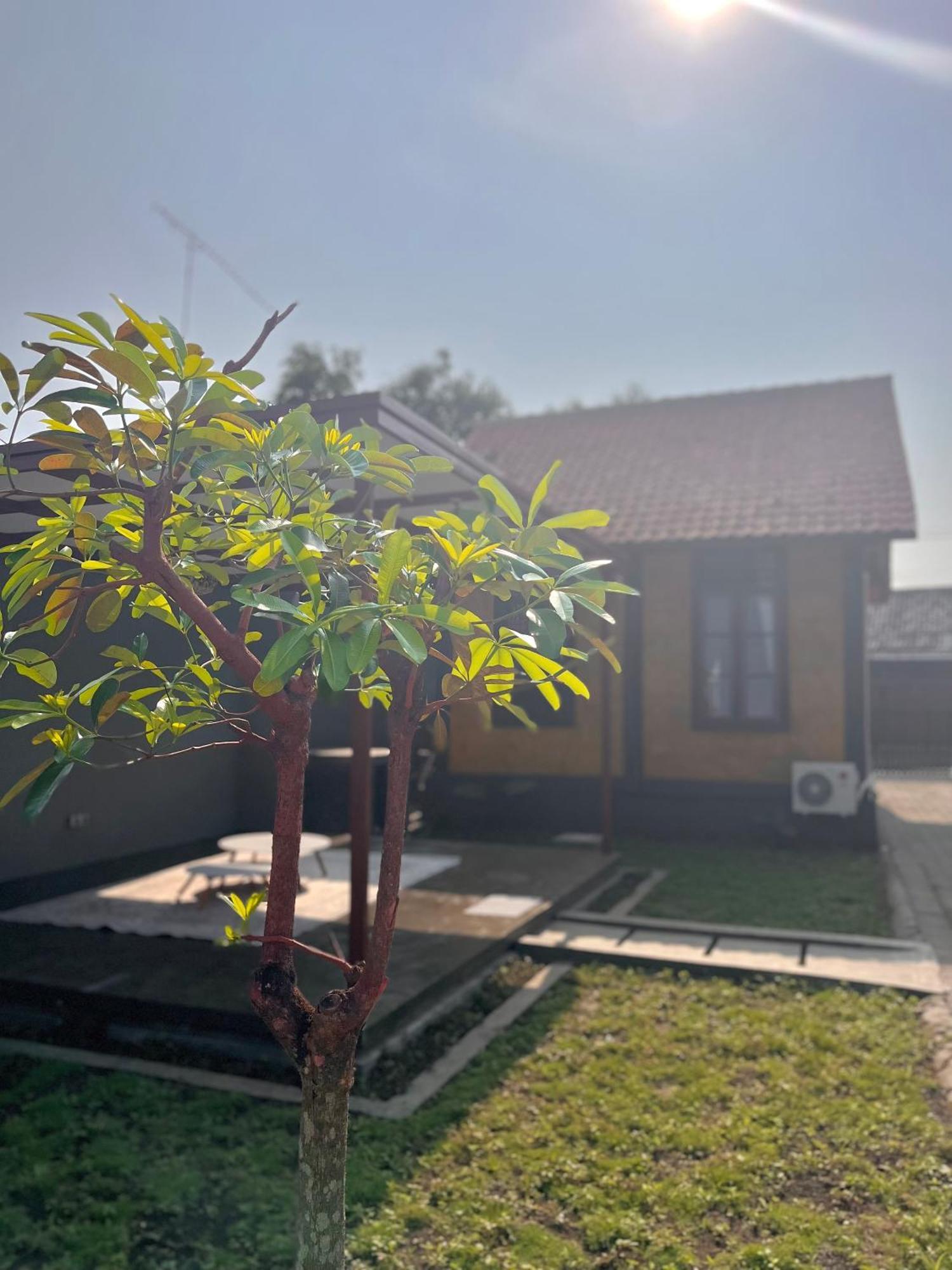 Joglo Homestay Banyuwangi Banyuwangi  Exteriör bild